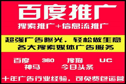 搜索引擎营销（SEM）公司某某的客户成功故事